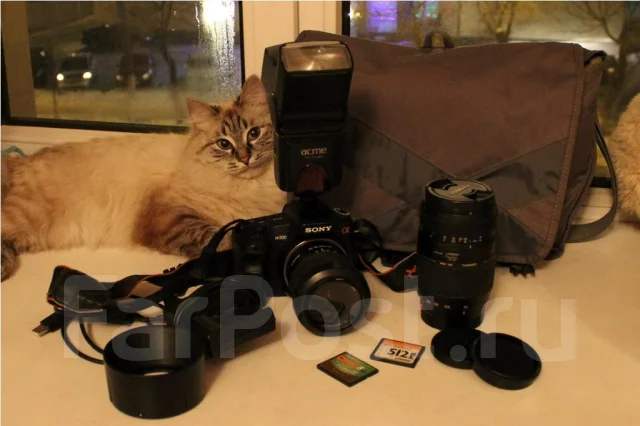 Sony Alpha DSLR-A200. 10 - 14.9 �� ����