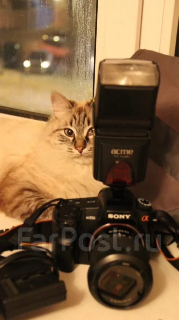 Sony Alpha DSLR-A200. 10 - 14.9 �� ����