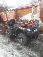 Kawasaki Brute Force 650. ��������, ���� ���\���, � �������� ����