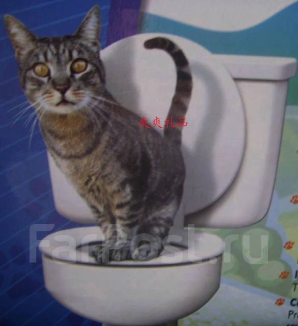 CitiKitty (СитиКити) Набор для приучения кошки к унитазу, в наличии. Цена:  550₽ во Владивостоке
