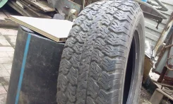 Lassa Competus. �/�, ����� 30�% ����