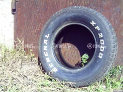 General Tire XP 2000. �/�, ����� 30�% ����