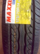 Maxxis MA-P1. ����� ����