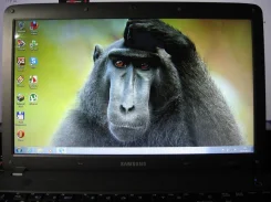 Samsung R528. 2,2����, ��� 4 ��, ���� 320���, WiFi, ����������� �� 2��.
