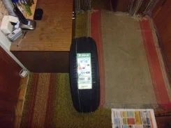 Sava Perfecta. 2013 ���, �����