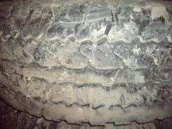 Dunlop SP RV-Major TG 3. �/�, ����� 50�% ����