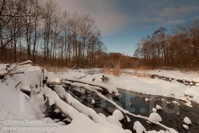 Nikon D200. 10 - 14.9 ��, ���: ��� ���� ����