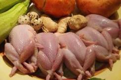 Мясо перепела и яйцо перепелиное диетич от ЛПХ "Приморская Перепёлка". Под заказ