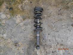 Амортизатор. Nissan: Bluebird Sylphy, Primera Camino, Almera Classic, Pulsar, Bluebird, Sunny, Primera, Almera, Lucino