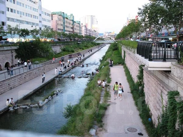 ����. ������������� ���. ��������� � ����� ����