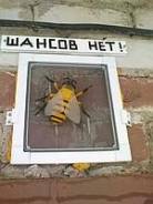 Установка пластиковых окон.