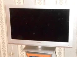 Irbis. LED