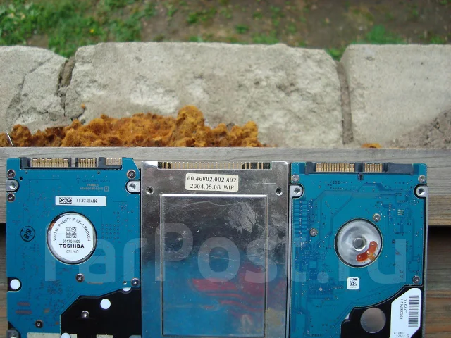 ASUS Eee PC 1001HA. 160����, ��� 2048 ��, ���� 120���, WiFi: 1 ����