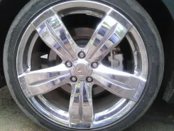 Vertini. x19" ����