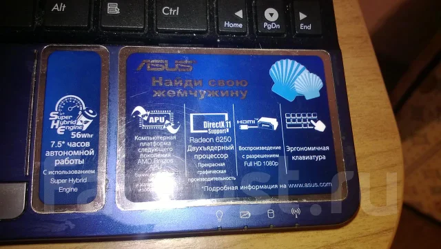 ASUS Eee PC 1015B. 1,2����, ��� 2048 ��, ���� 320���, WiFi: 1, Bluetooth: 1, ����������� �� 8��. ����