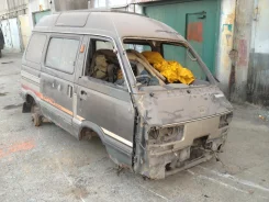Subaru Domingo ����
