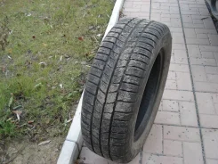 Pirelli P2500 Euro. ����� ����