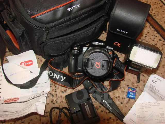 Sony Alpha SLT-A55. 15 - 19.9 ��, ���: 12� ����