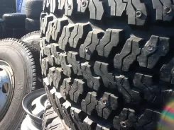 Falken. 2001 ���, ����� ����