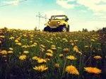 Jeep Wrangler ����