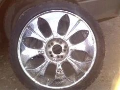 Vertini. x17", �� 17���. ����