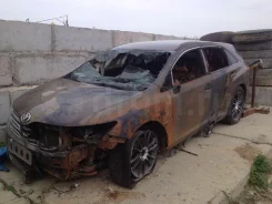 Toyota Venza ����