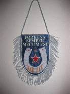 Вымпелы.