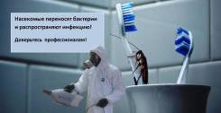 "ЭкоСэс"Уничтожение насекомых генератором холодного тумана