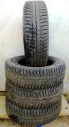 Bridgestone Blizzak Nordic WN-01. 2012 ���, �/�, ����� 10�%