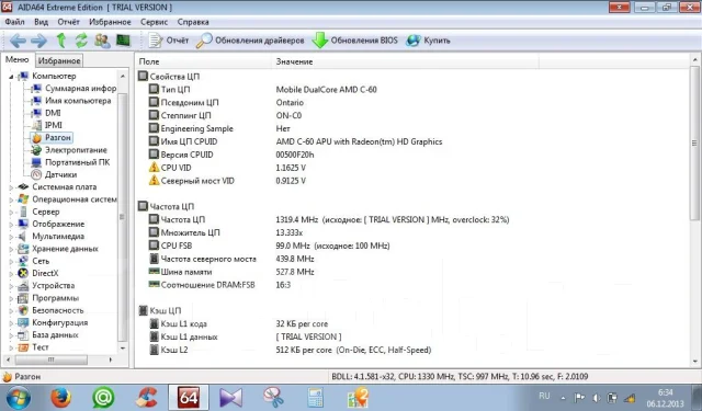 ASUS Eee PC 1015BX. 1,3����, ��� 2048 ��, ���� 320���, WiFi: 1, ����������� �� 5��. ����