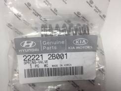 Пружина клапана. Hyundai: ix35, i40, i20, i30, ix20, Sonata, Accent, Veloster, Elantra, Creta, Avante, Tucson, Solaris