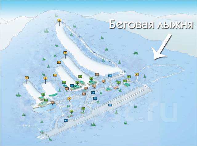 Комета владивосток фото