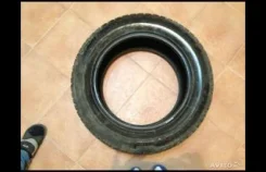 Lassa Competus. 2011 ���, �/�, ����� 10�% ����