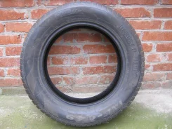 Infinity Tyres INF-049. ������, ��� �����, 2010 ���, �/�, ����� 50�%