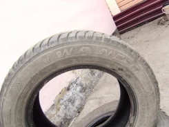 Wanli Winter Challenger S-2090. ������, ��� �����, �/�, ����� 40�%