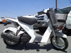 Suzuki Mollet. 50����. ��., ��������, ���, ��� ������� ����