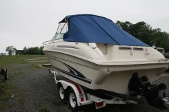 SeaRay. 1999 ���, ��������� ������������, ������. ��� ����� �� ������� ����