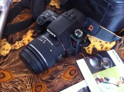 Sony Alpha SLT-A37 Kit. 15 - 19.9 ��, ���: 3�