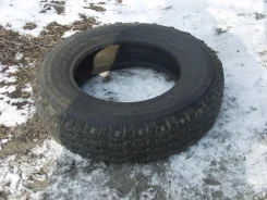 Dunlop SP Snow 99. ������, ��� �����, 20�%, 1 ��