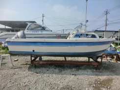 Yamaha Fisher 17. 1991 ���, ��������� ���������, ������ ����