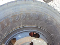 Dunlop SP 20. �����������, 2013 ���, ����� ����