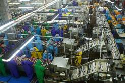 �������������. ��� "���������� �����". �������