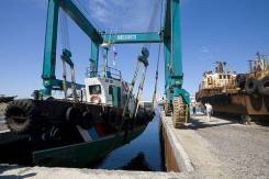 ��������. ��� "���������� �����". �������