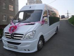 Автобусы.