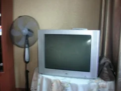 Sitronics. CRT (���) ����