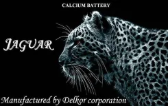 Jaguar. 75��.�. ��� ����� �� ������������ ����