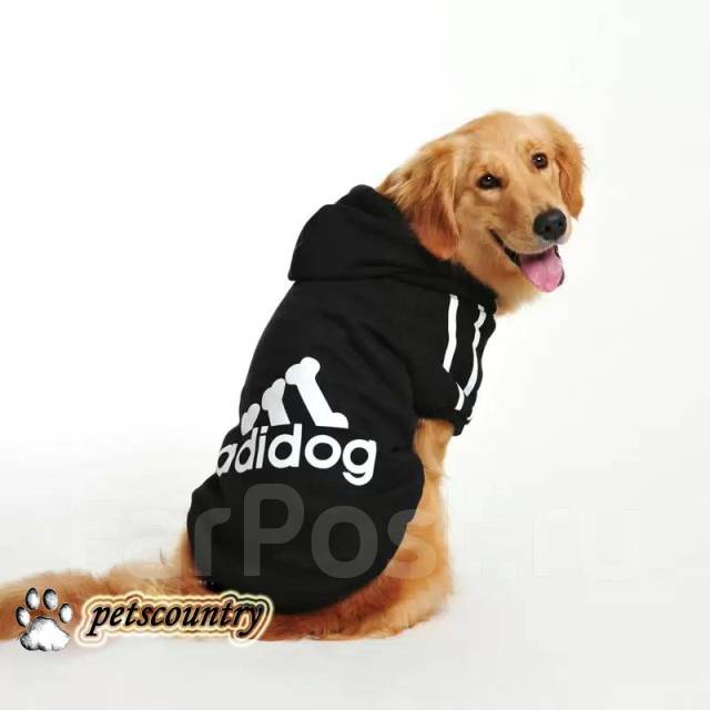 Adidog . 950