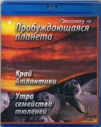 Пробуждающаяся планета: Край Атлантики/Утро семейства тюленей (Blu-ray)