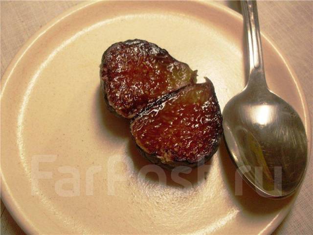 Инжир Петита Негра (Fig ‘Petite Negra’ ) - единственный комнатный сорт ...