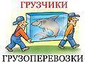 Грузоперевозки 3-5т Грузчики. вывоз мусора. доставка . переезды